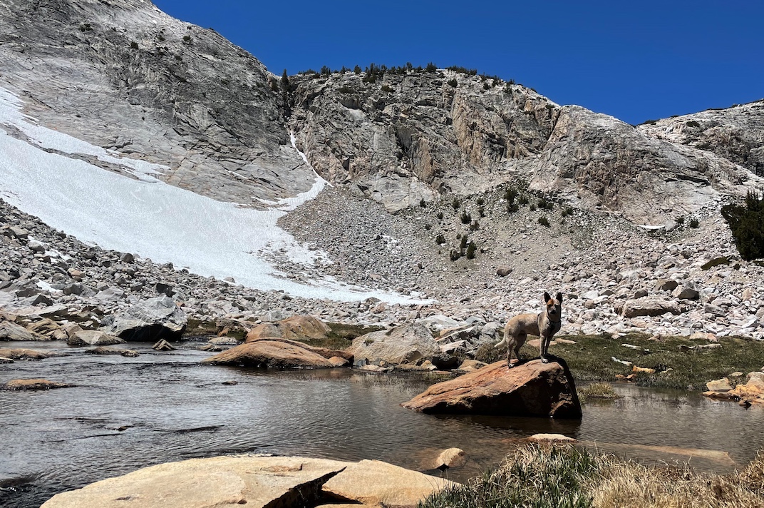 fig.2: Crossing Lee Vining Creek after Greenstone Lake.