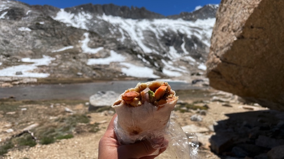 Lunch burrito for humans.