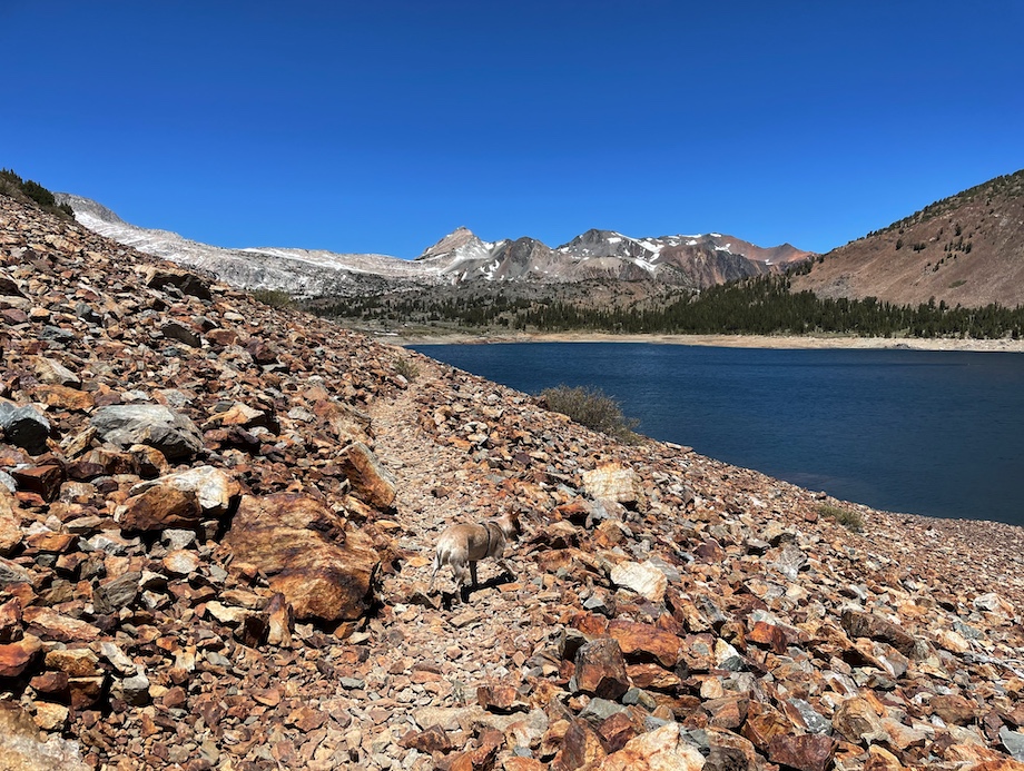 fig.1: Volcanic scree for the first mile