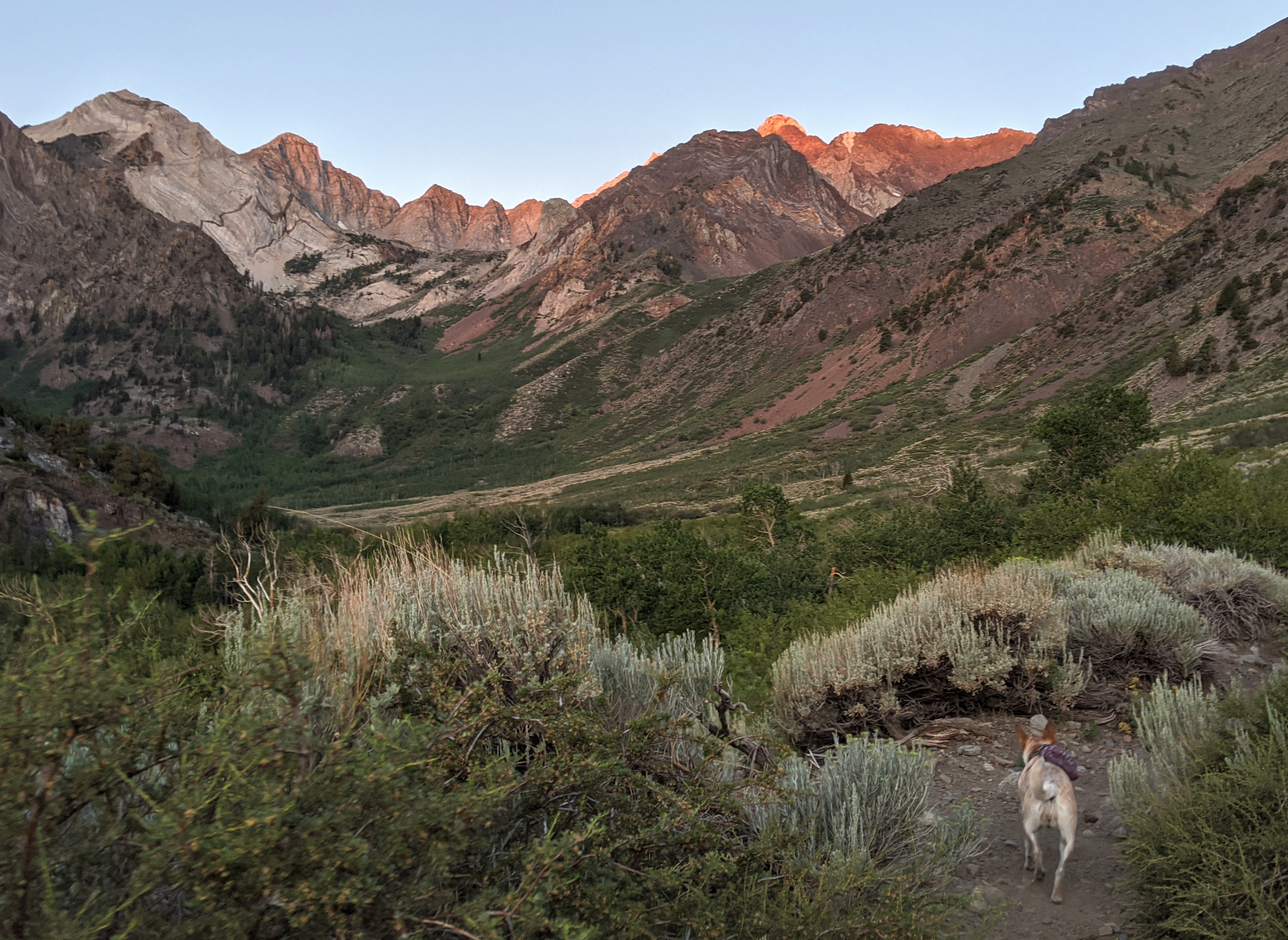 My butt with the Sierra ridges catching morning light as we begin.