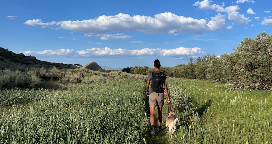 Walking back out through the meadow