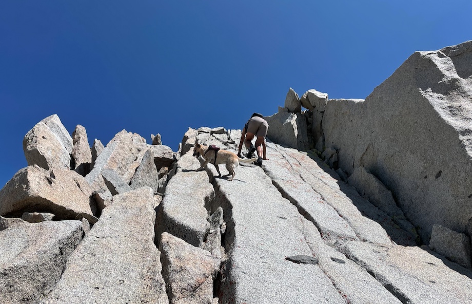 Strolling up the final slabs to the summit.