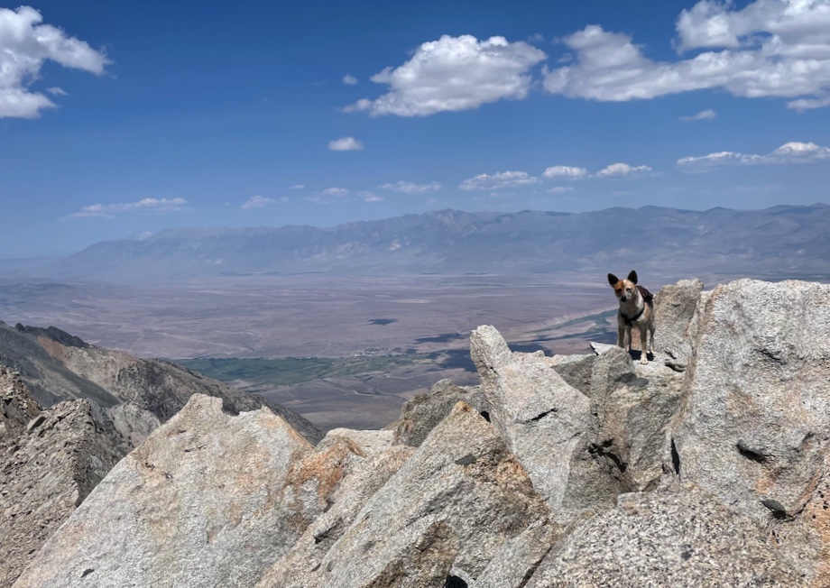 We did it! Looking east towards Bishop