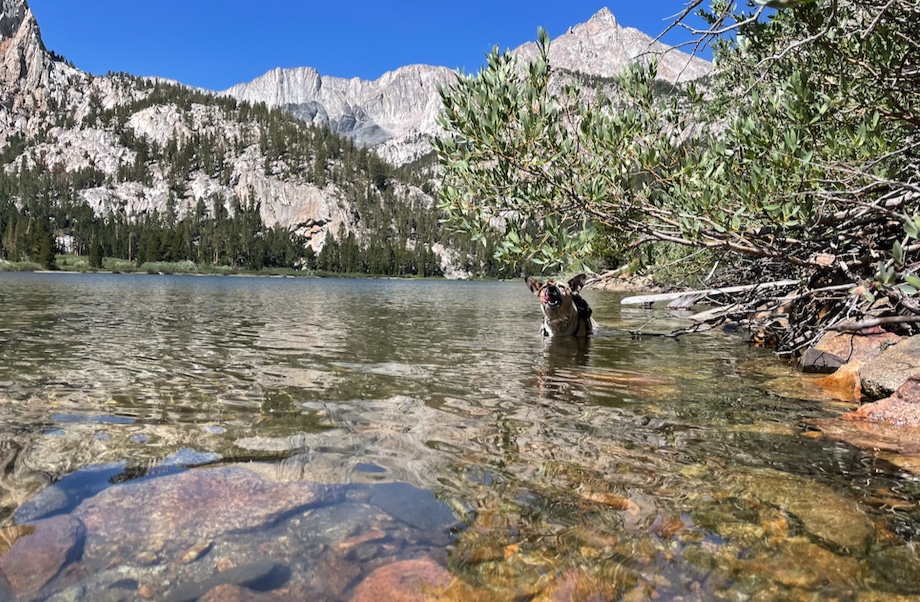 I go for a dip in Horton Lake! Glorious