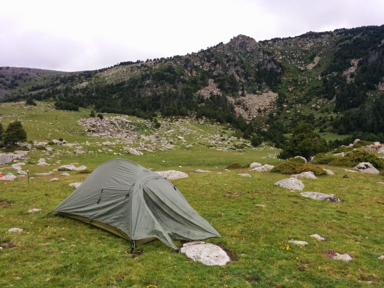 Wild camping is a free option for broke kids
