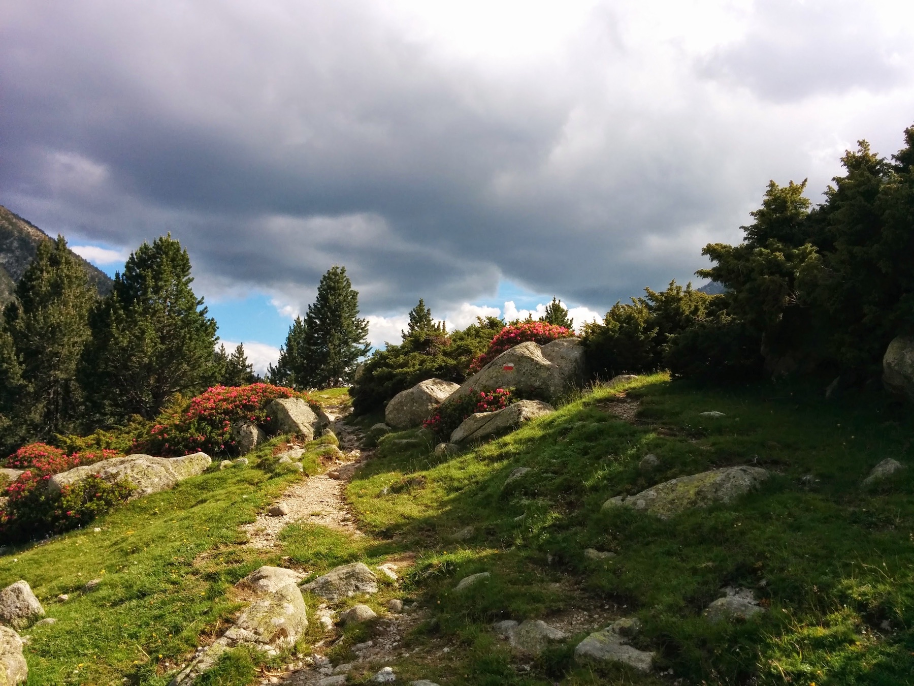 Threatening rain clouds adds dynamism