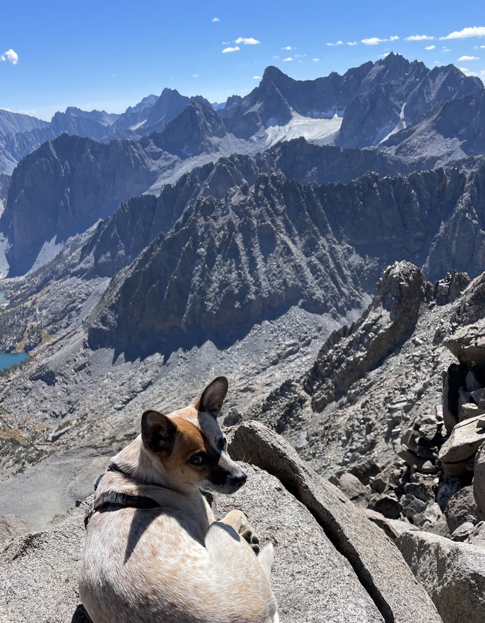 Checking out the Palisades from the summit!