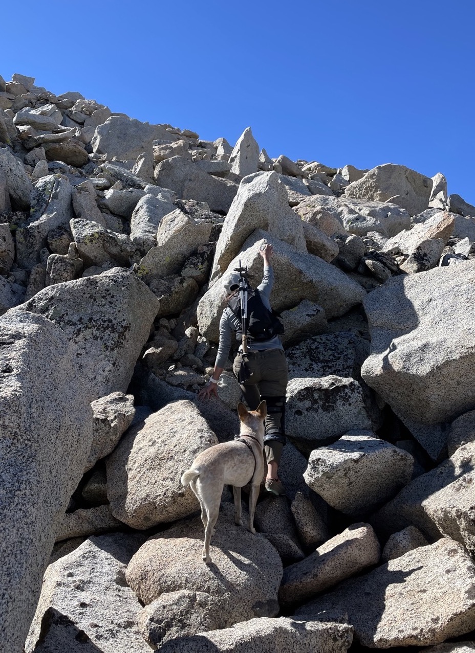 Scrambling talus