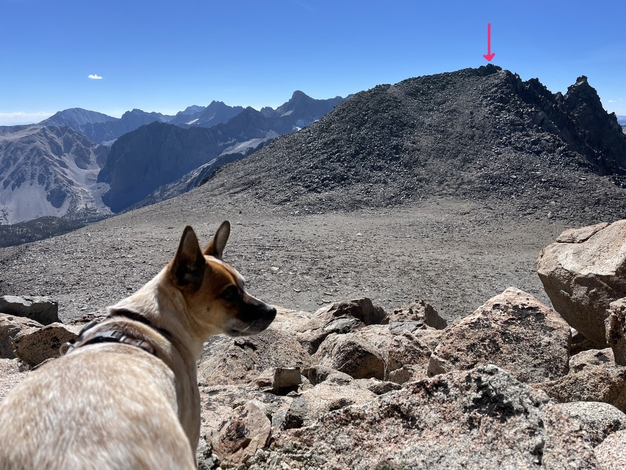 View of Cloudripper, from Vagabond. It's not the most striking peak, it's a pile of sand and talus. Summit is on the right.