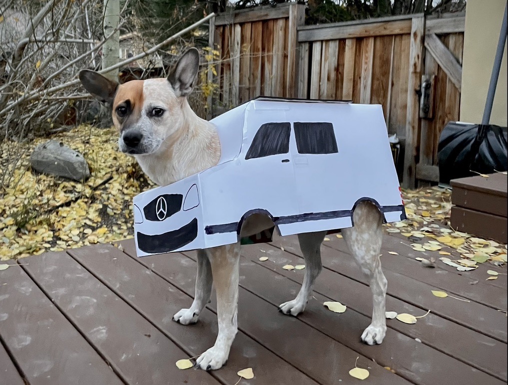 This van is heckin lifted.