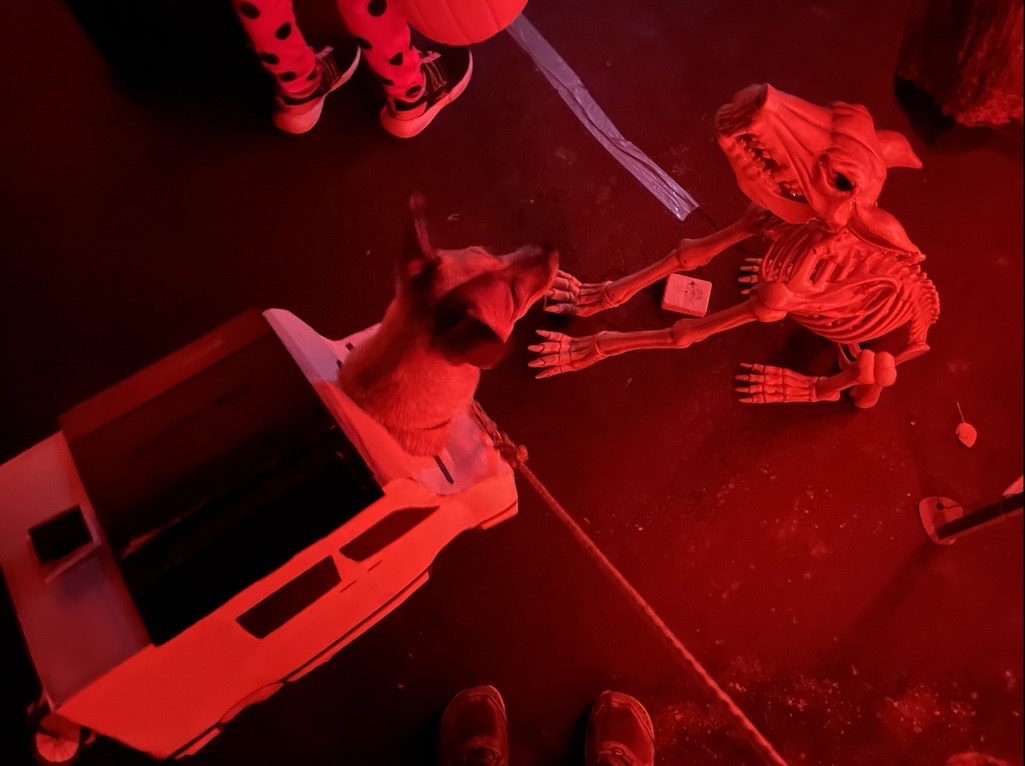 Van dog meets skeleton dog
