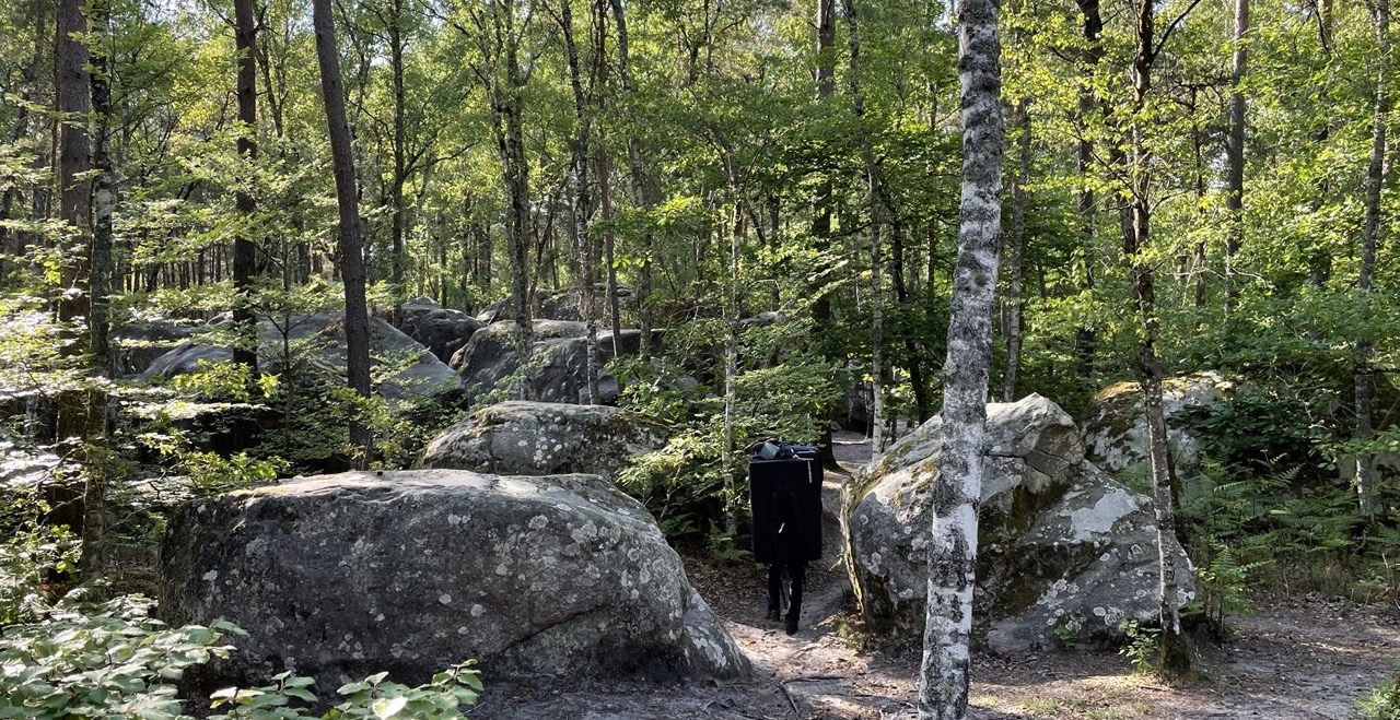 This was how Marco imagined Fontainebleau: alone in the woods, quiet, just you and the rock.