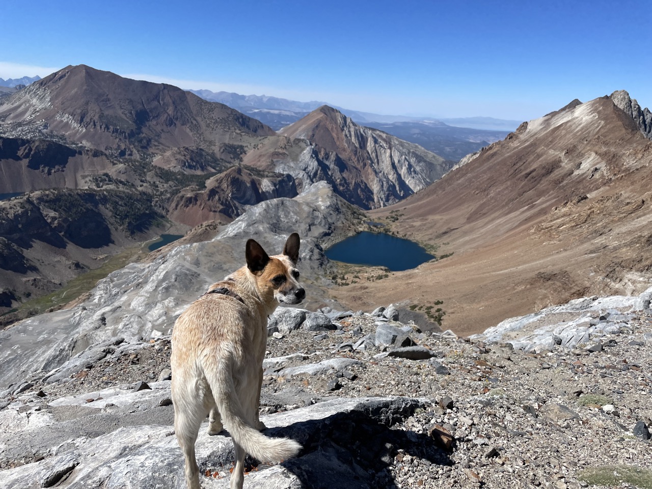 Views of Bright Dot Lake on the descent