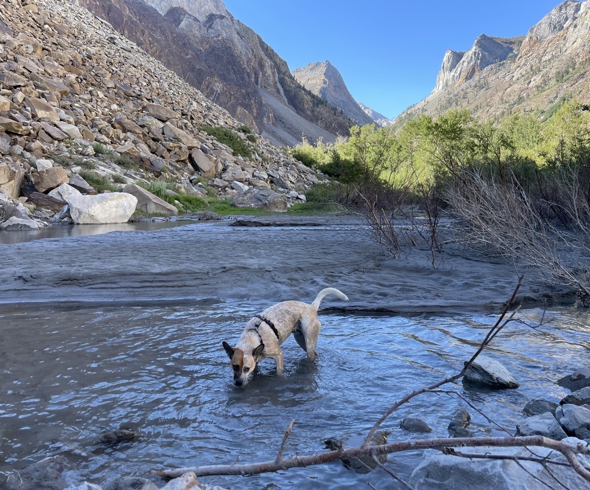 Sipping Convict Creek