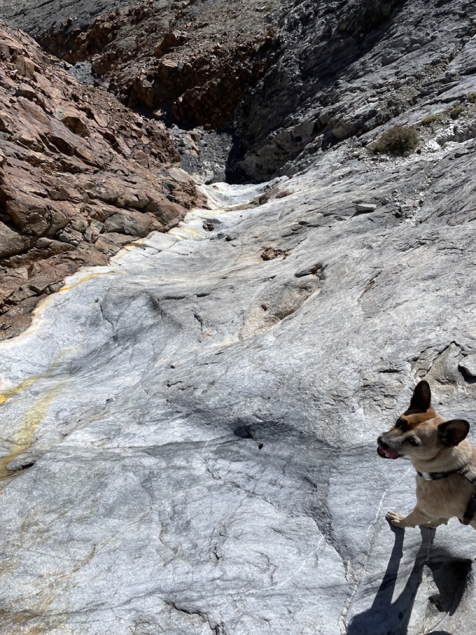 Marbled dry waterfall, maybe a water slide early-season?