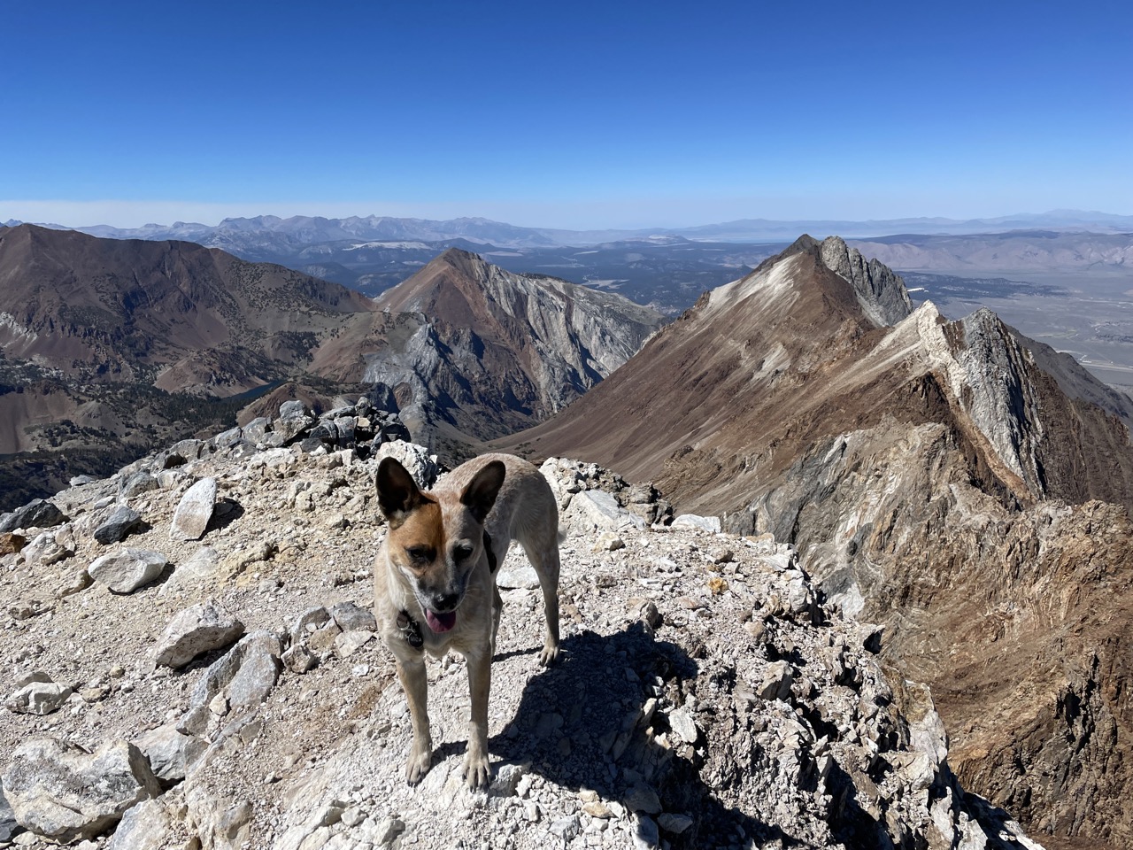 Summit of Mount Baldwin! With views of White Wing and Morrison