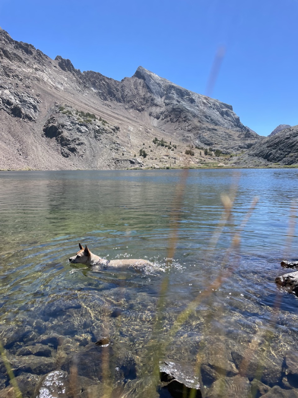 Cooling off with a swim in Bright Dot Lake, with views of Baldwin