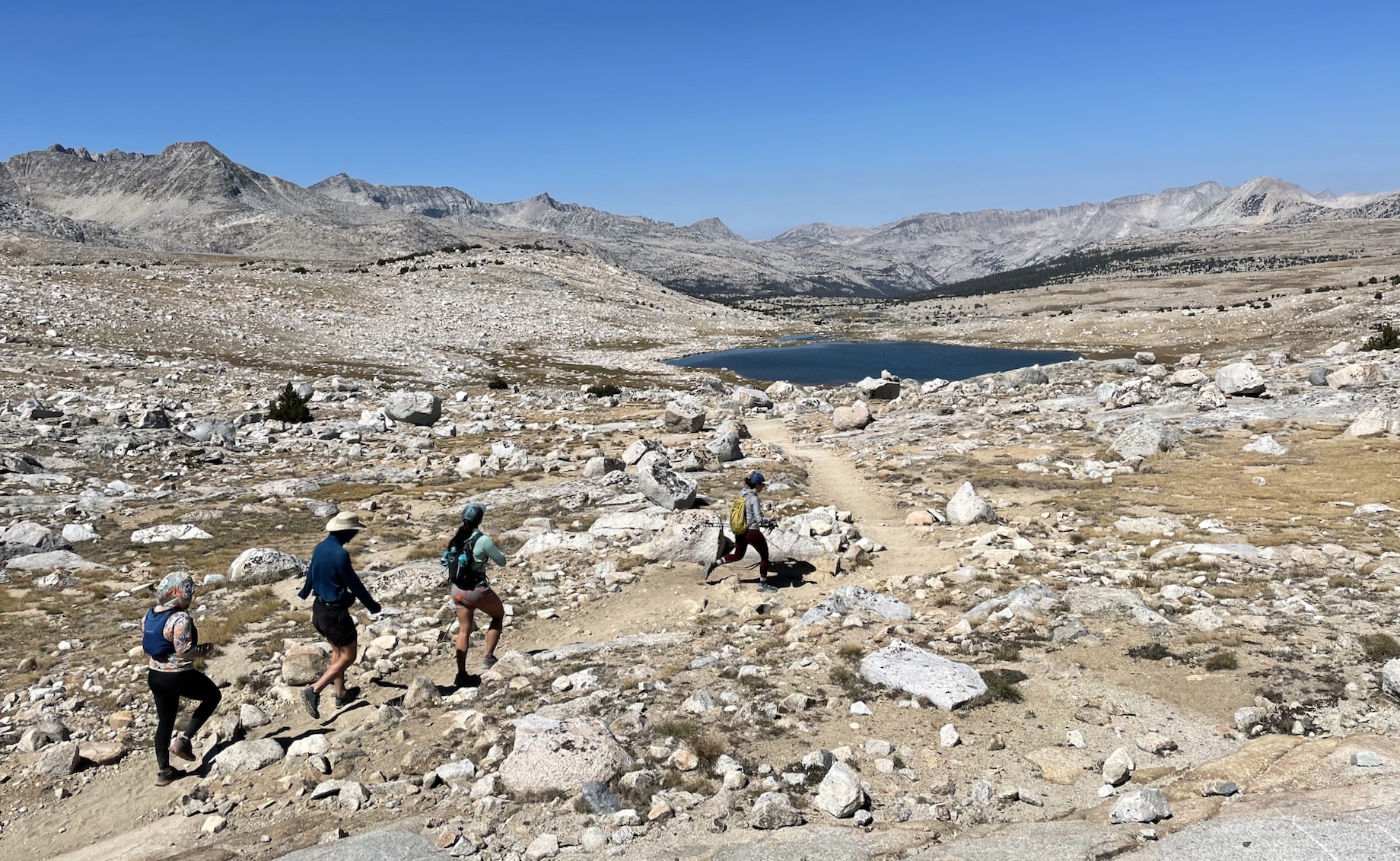 Crossing Paiute Pass, now a party of 5 people and 2 dingos