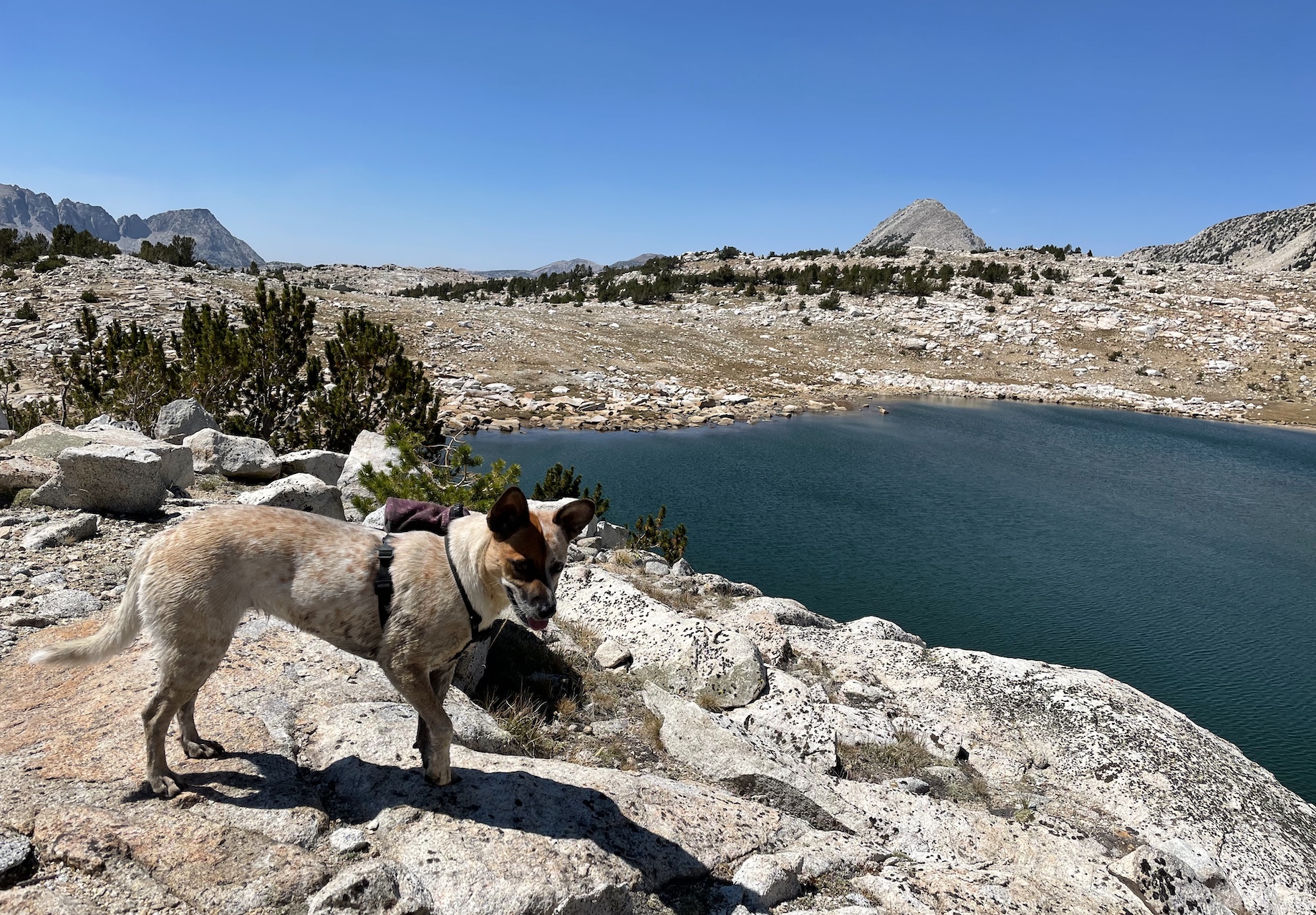 I found Square Lake! You can see Pilot Knob again, straight ahead.