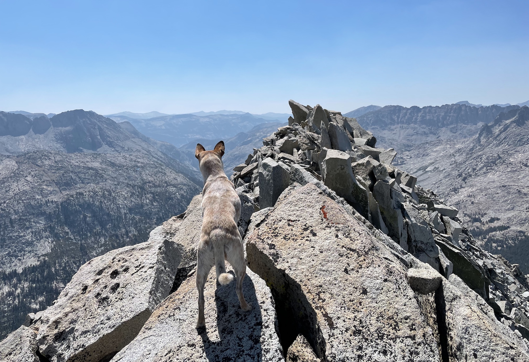 Once at the top, you have to traverse the ridge further than expected to find the official summit.