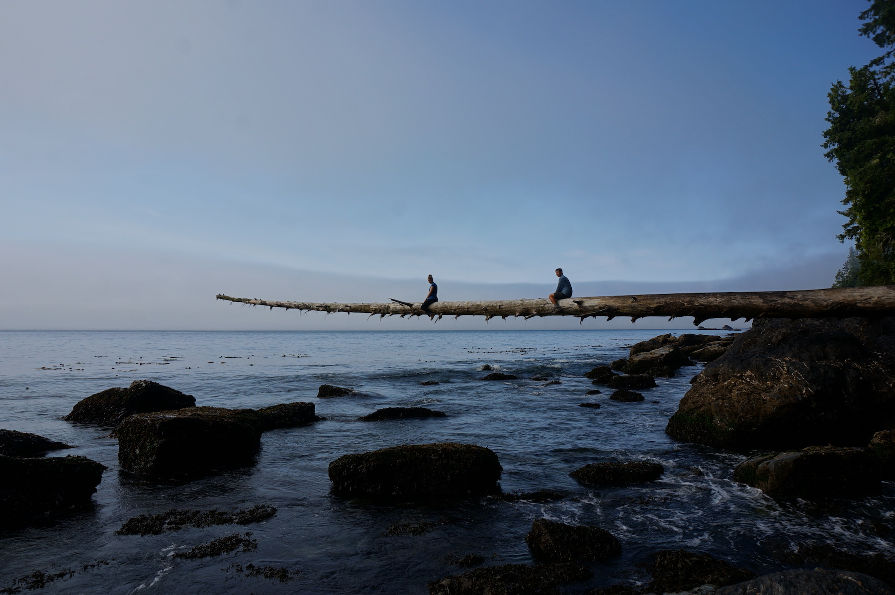 two people going out on a limb above the ocean (sitting on a driftwood log positioned over the water)