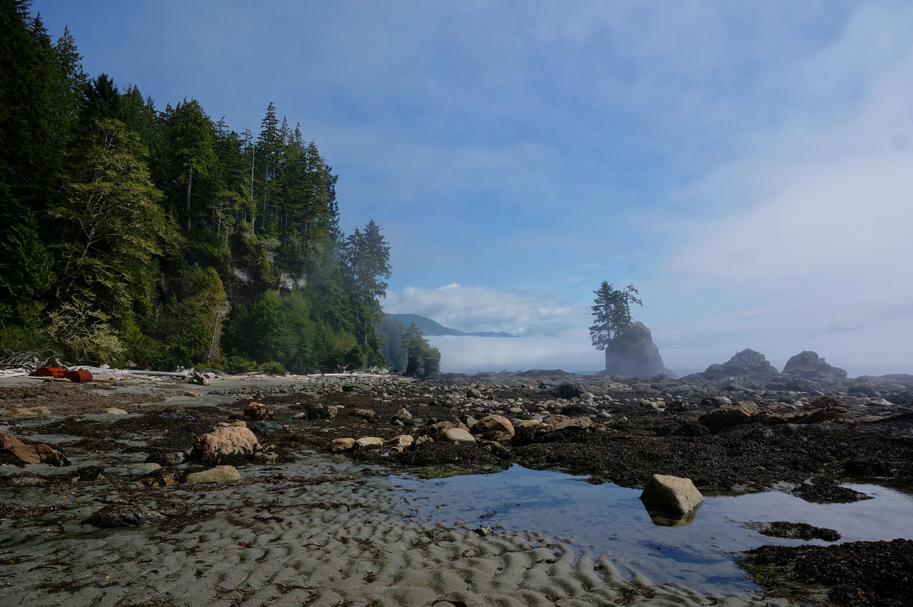 ocean and forest view, with lumps of land coming out of the ocean that look like mario islands