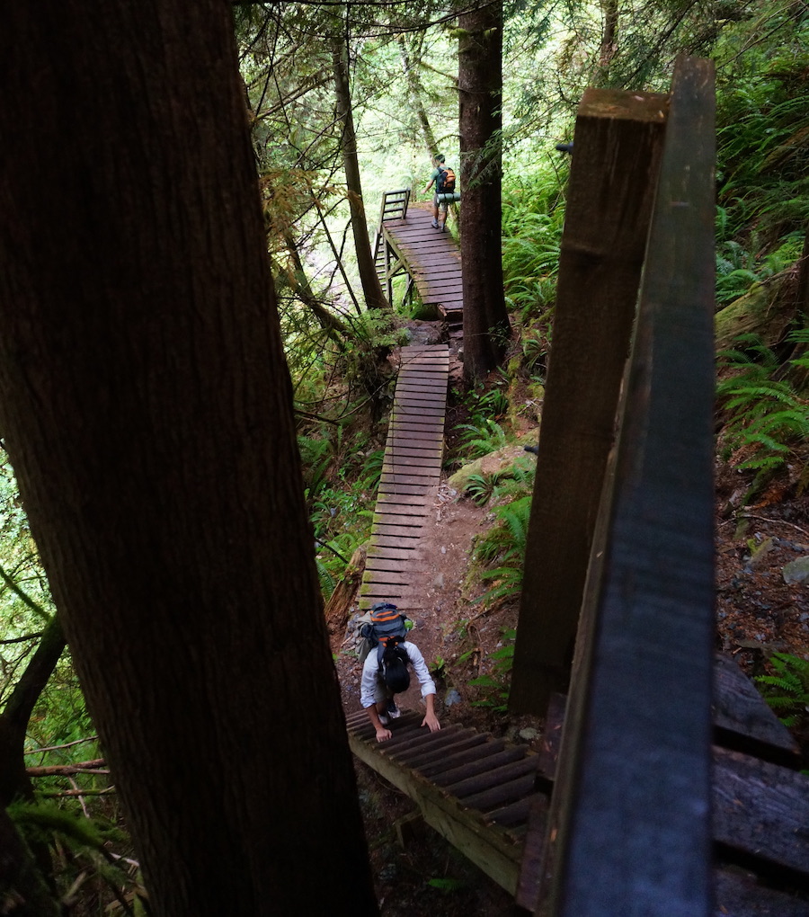 Walkways and ladders to ford the steep mud slopes